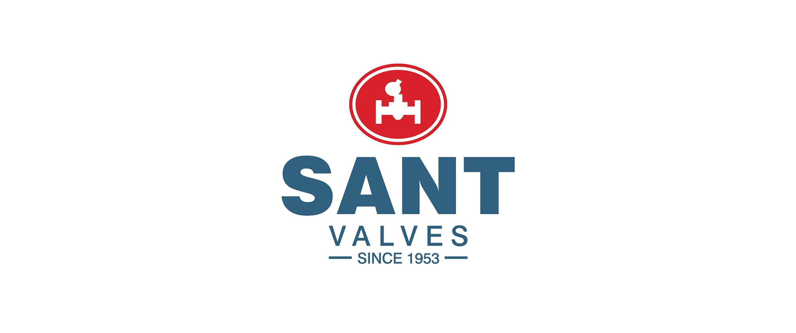 Portfolio Item Image